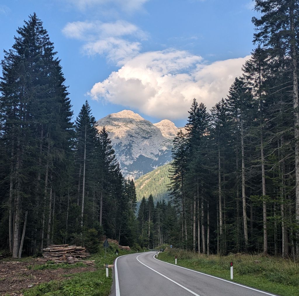 View of Cimon del Froppa