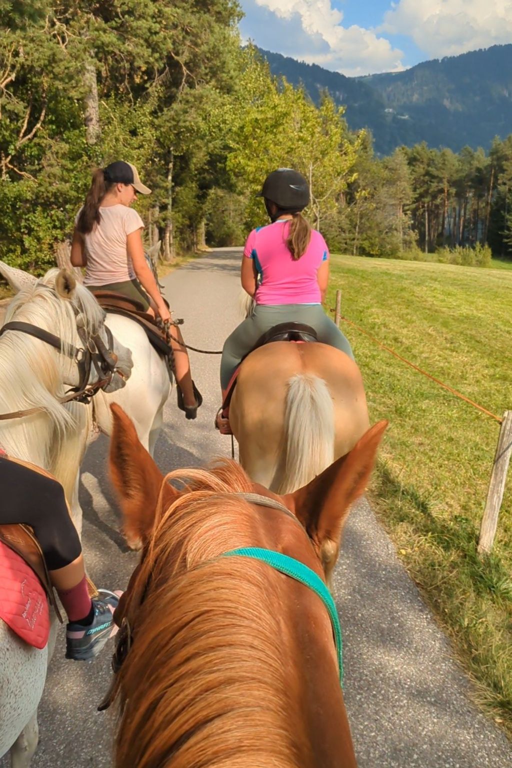 Hiking the Alps on DJ