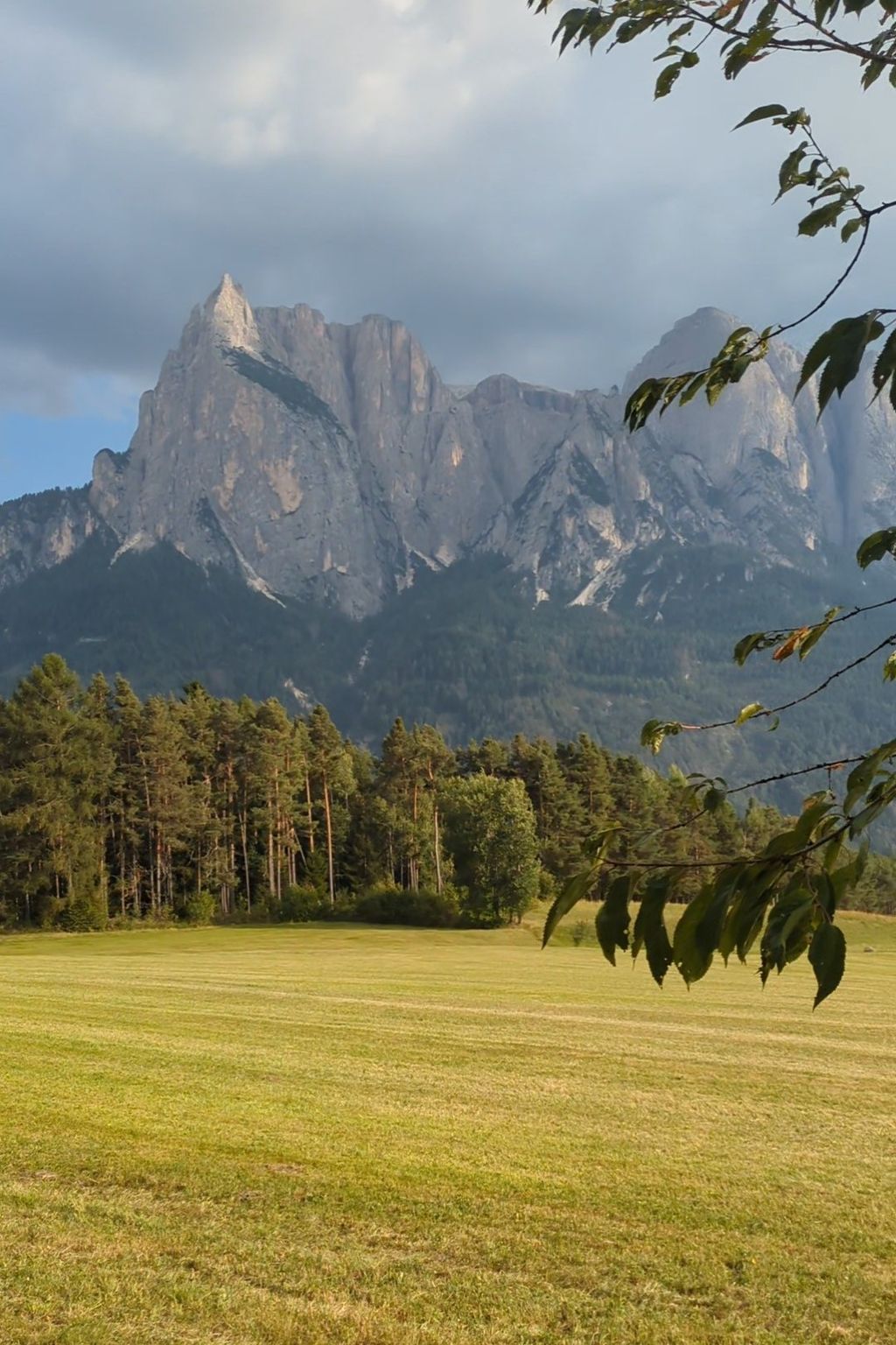 The view of the Alpe di Suissi