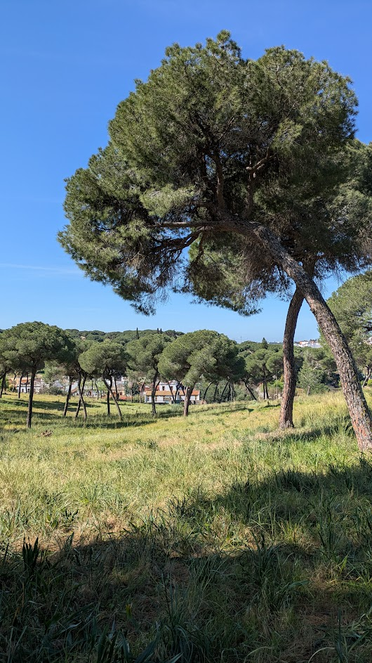 A spot to rest under a tree