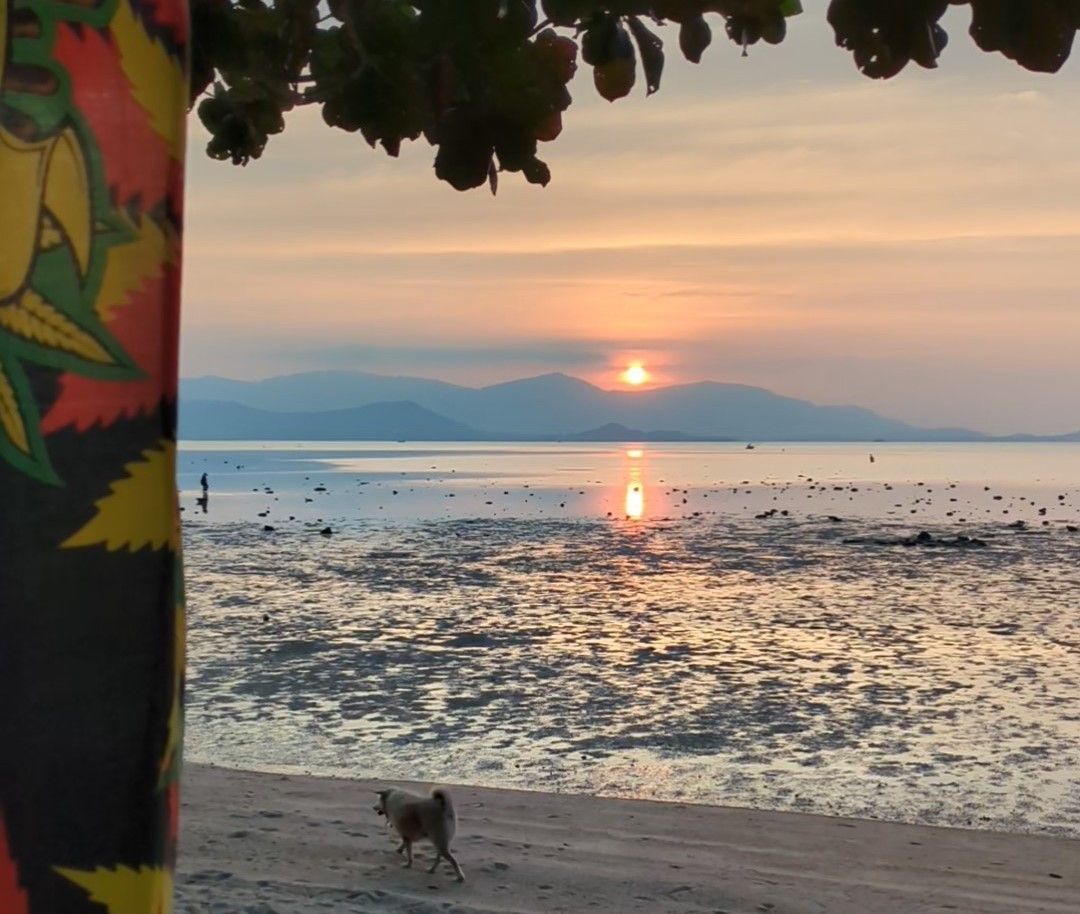 To enjoy a Bob Marley-themed sunset in Koh Samui