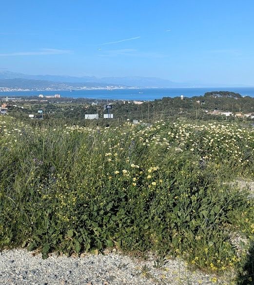 Going off trail in Malaga